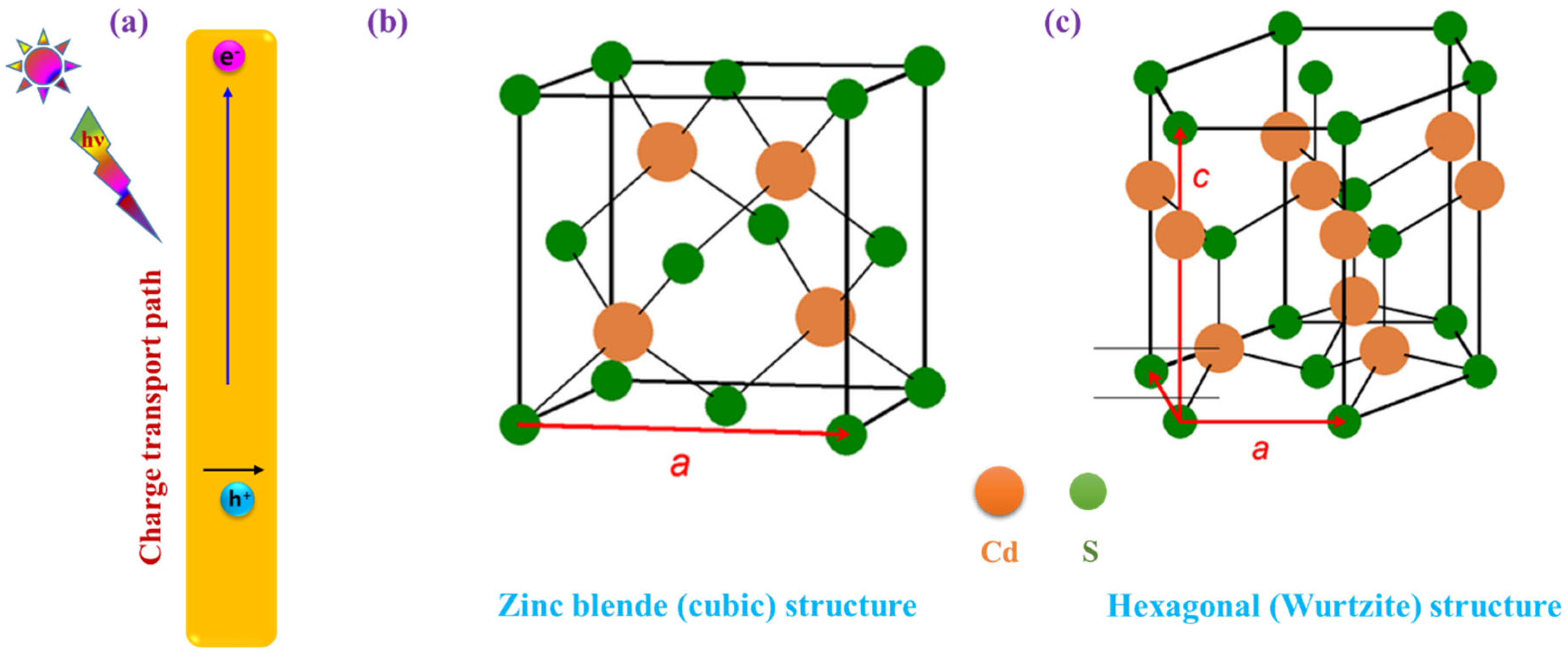 Nanomaterials 15 01000 g004
