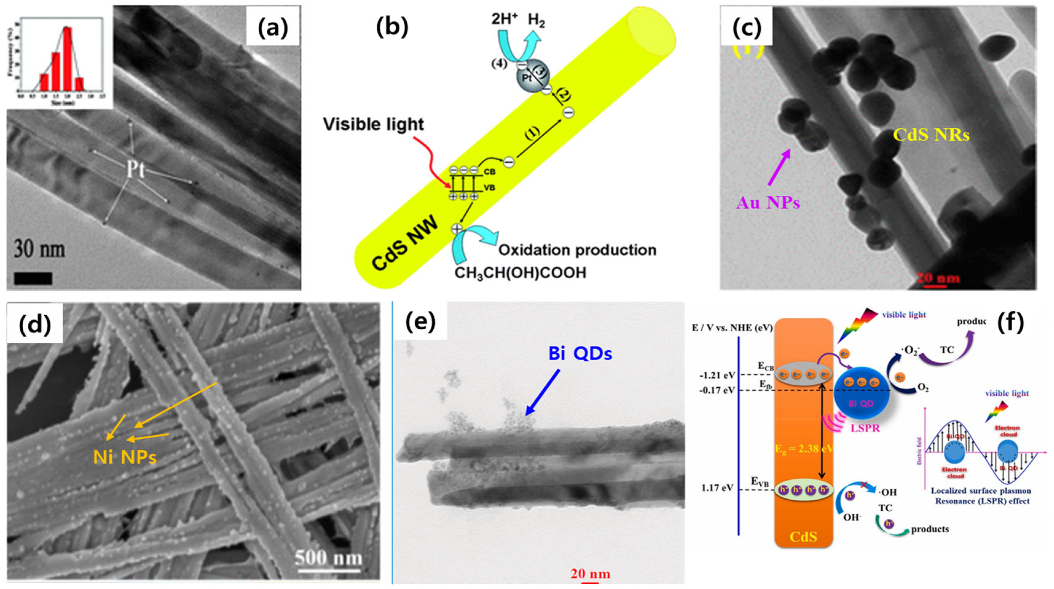 Nanomaterials 15 01000 g005
