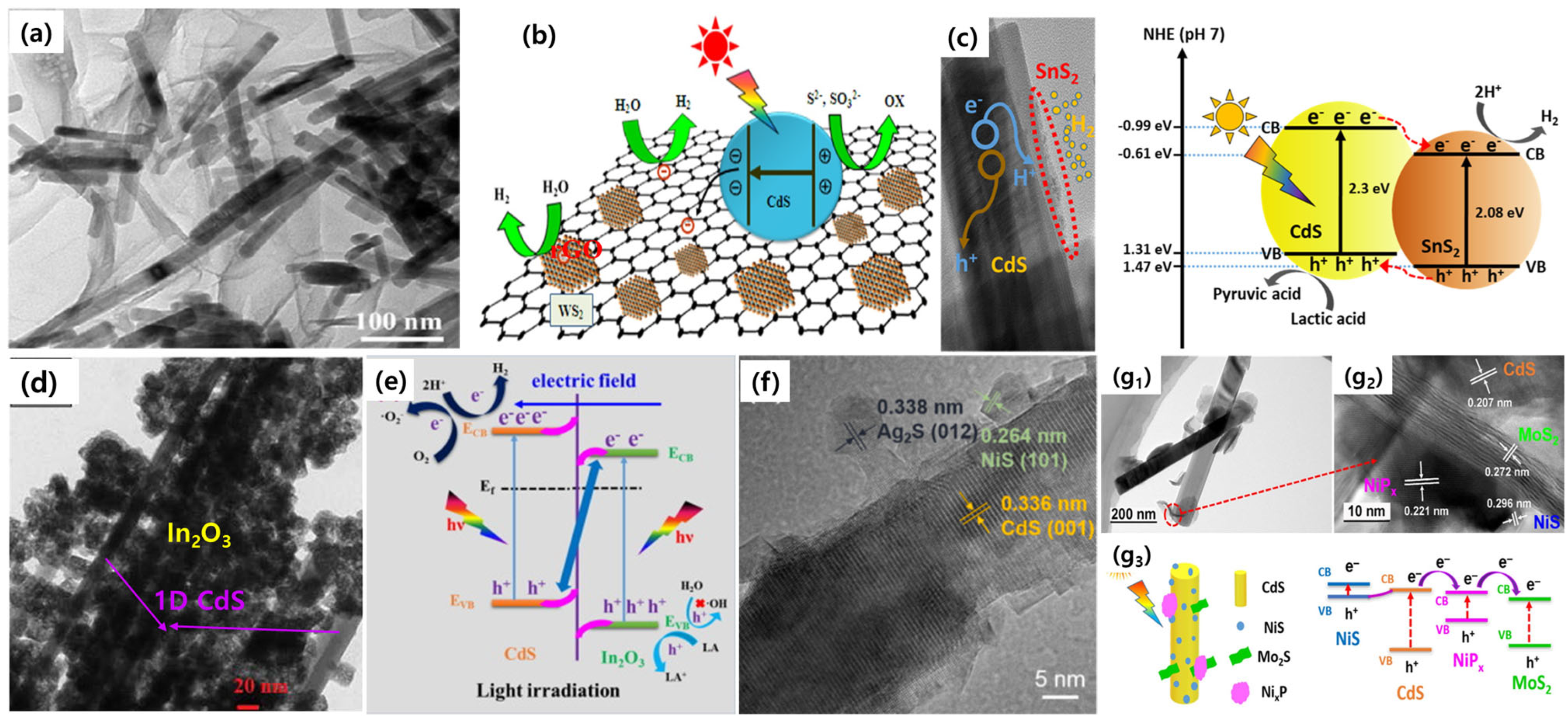 Nanomaterials 15 01000 g006