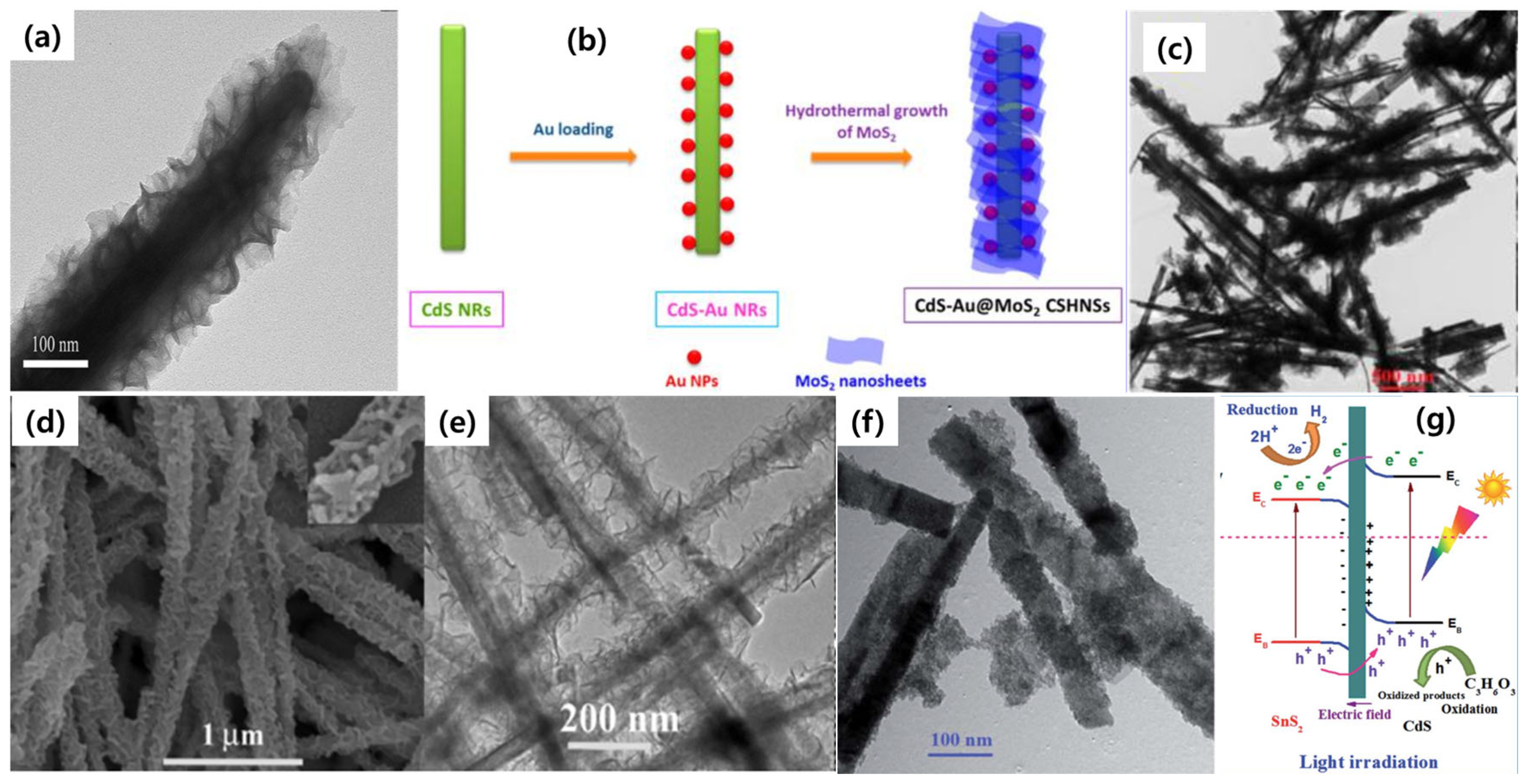 Nanomaterials 15 01000 g008