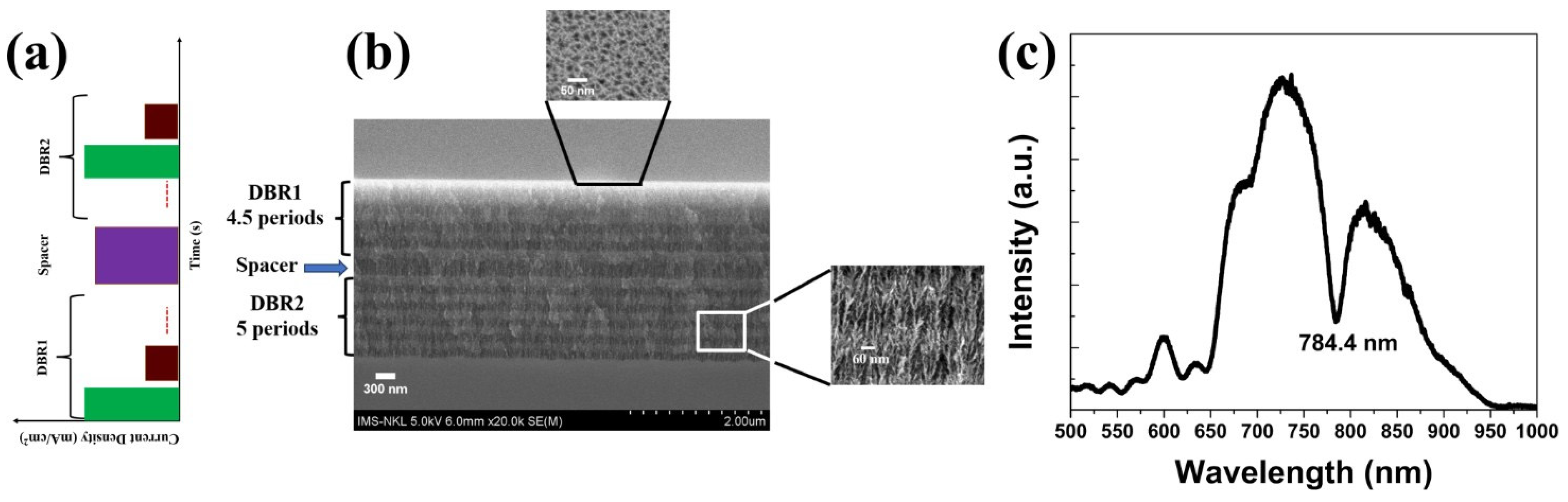 Nanomaterials 15 01007 g001