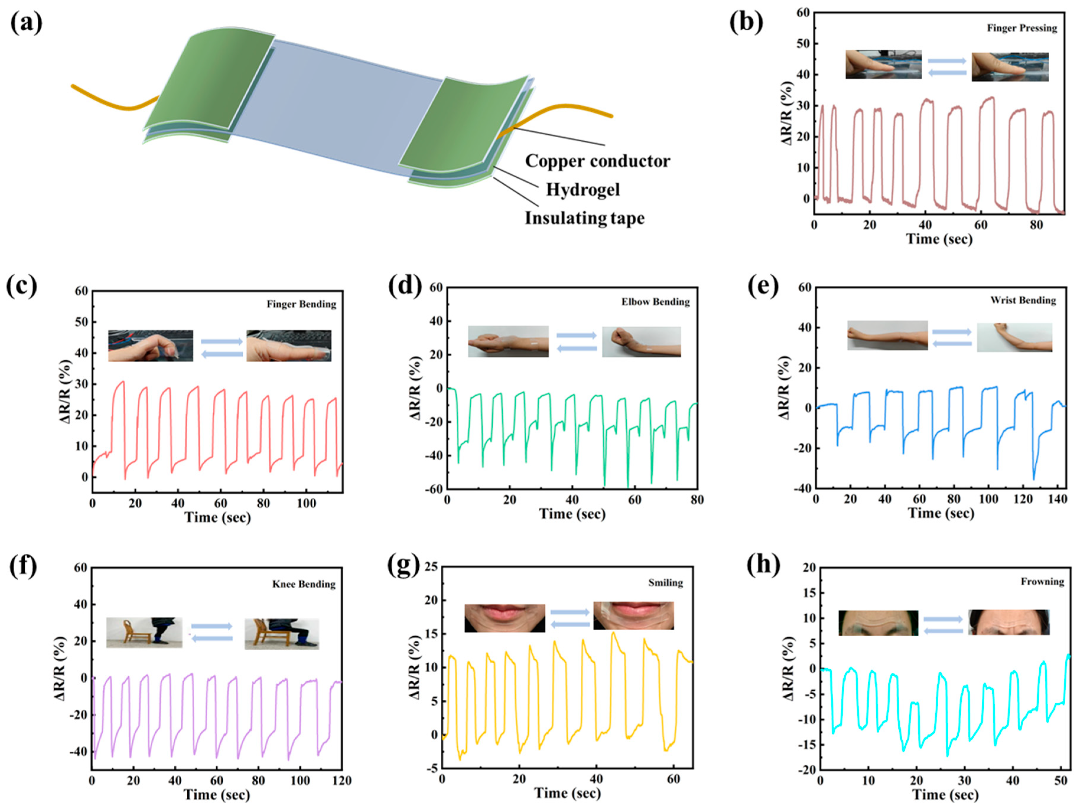Nanomaterials 15 01027 g005