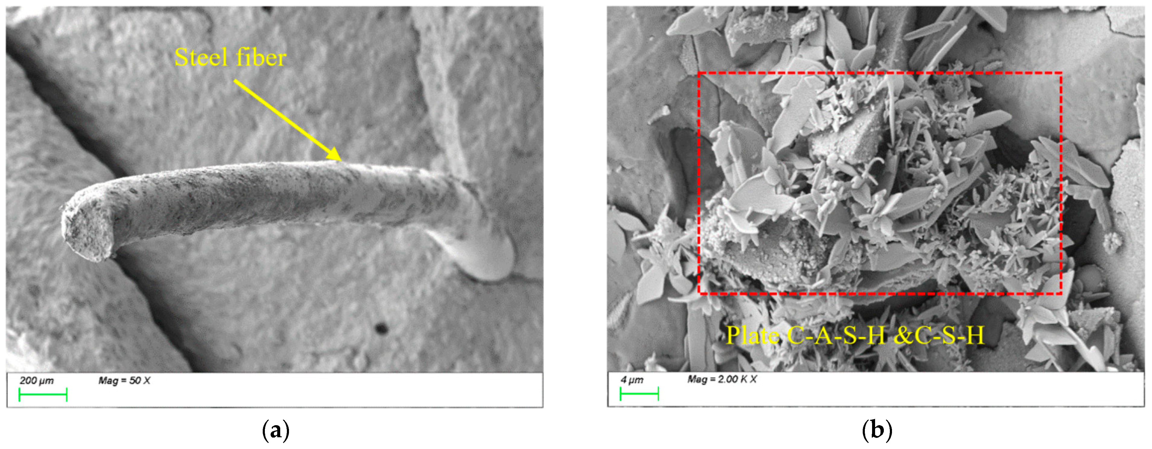 Nanomaterials 15 01051 g016 Nanomaterials 15 01051 g016