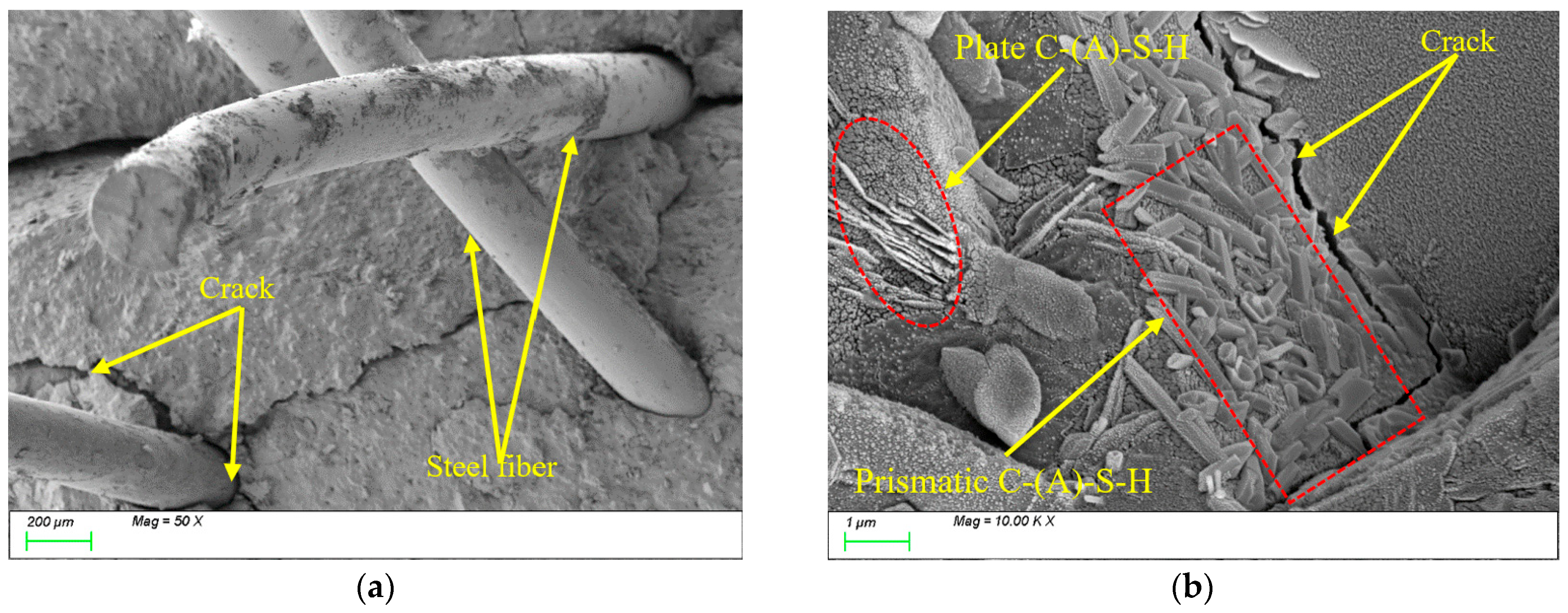 Nanomaterials 15 01051 g018 Nanomaterials 15 01051 g018