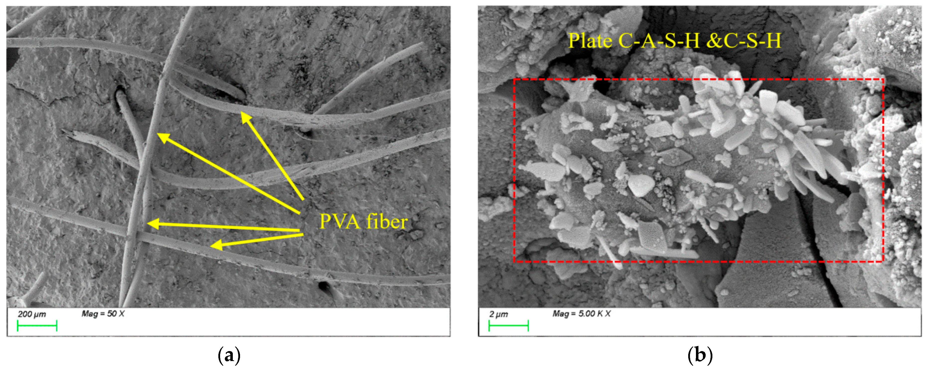 Nanomaterials 15 01051 g019 Nanomaterials 15 01051 g019