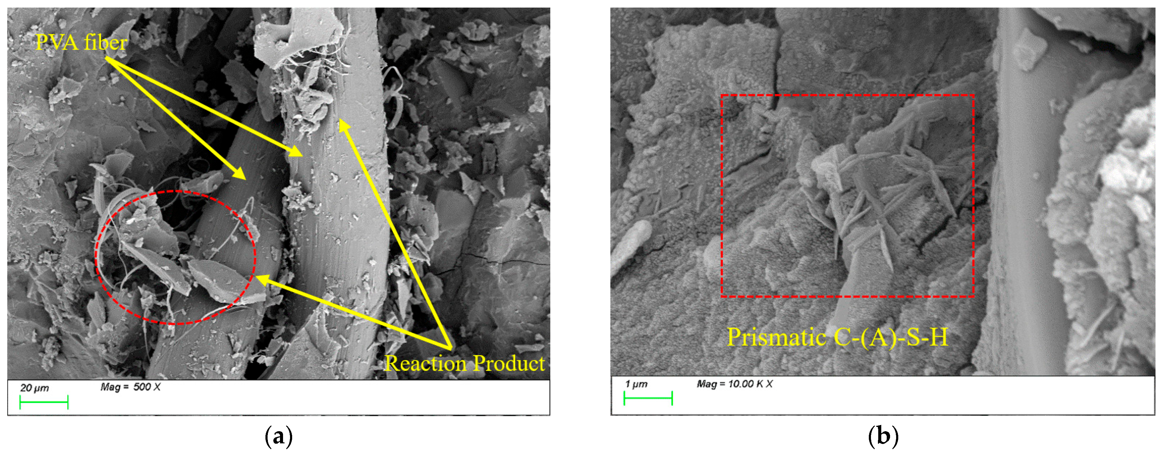 Nanomaterials 15 01051 g020 Nanomaterials 15 01051 g020