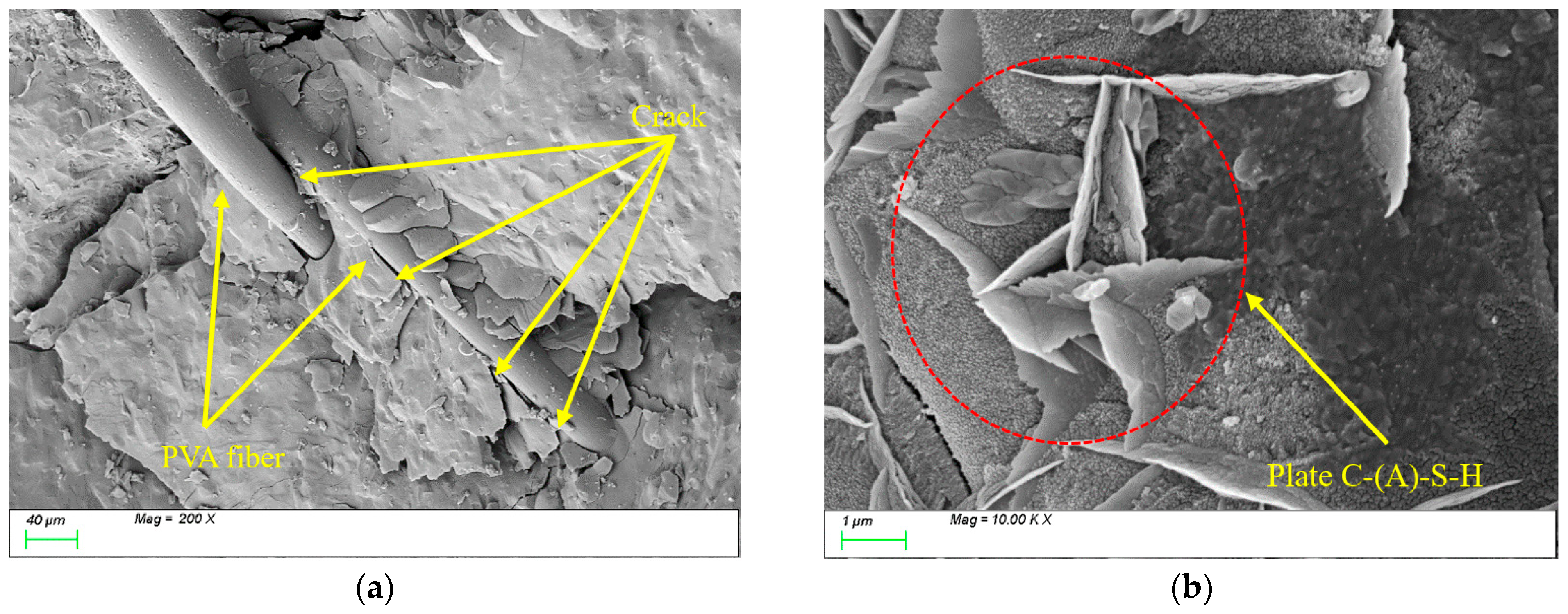 Nanomaterials 15 01051 g021 Nanomaterials 15 01051 g021