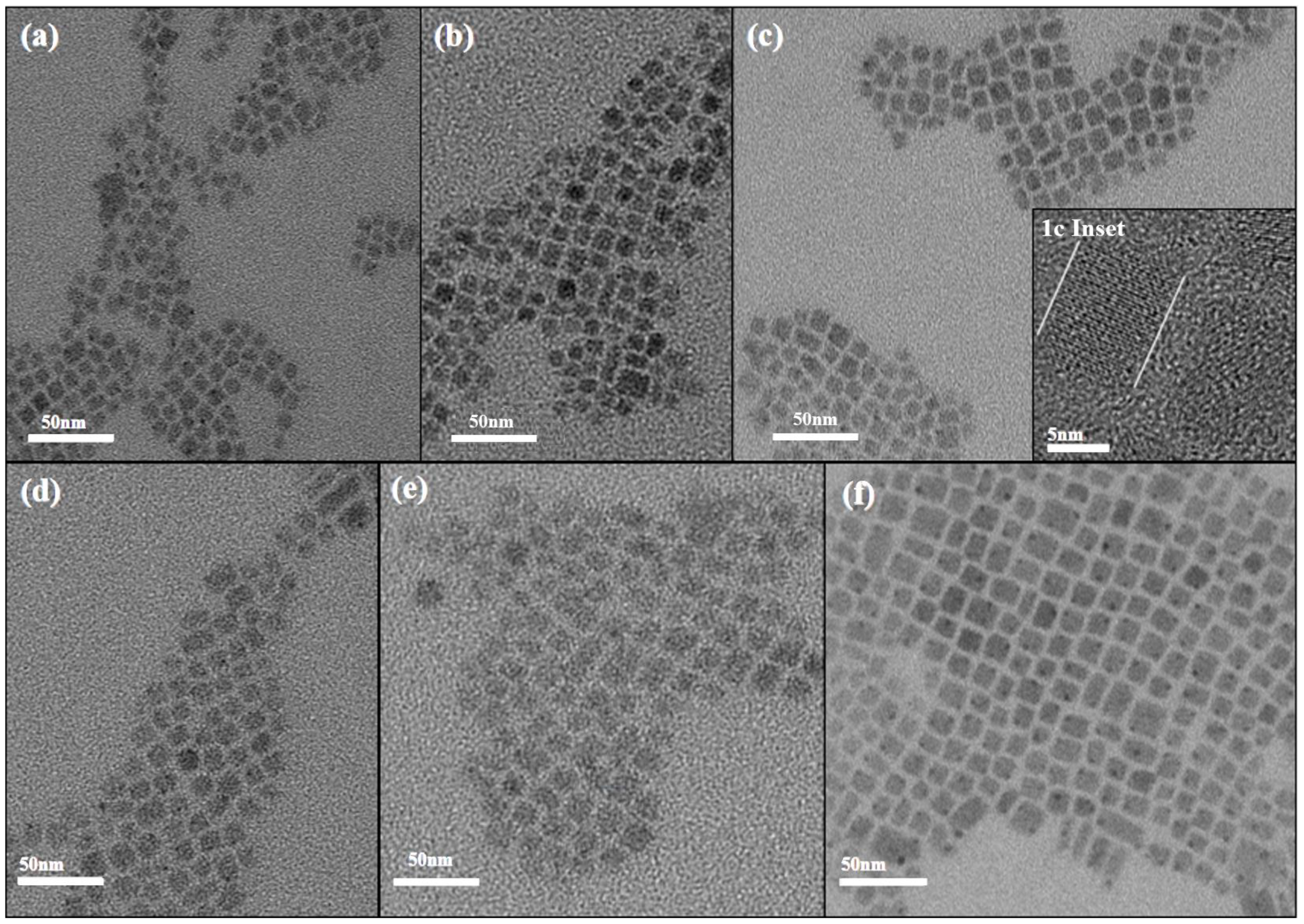Nanomaterials 15 01065 g001