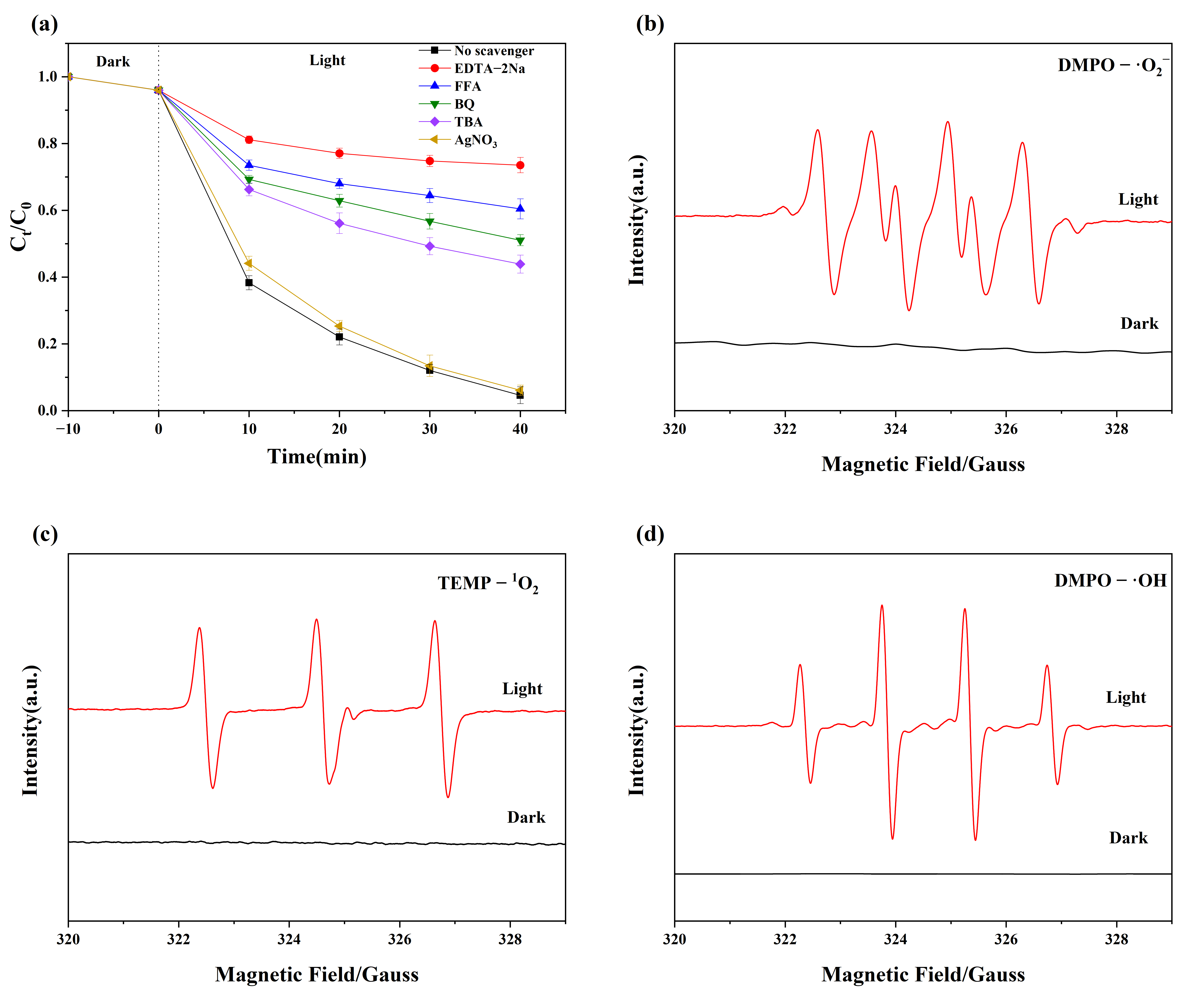Nanomaterials 15 01069 g005
