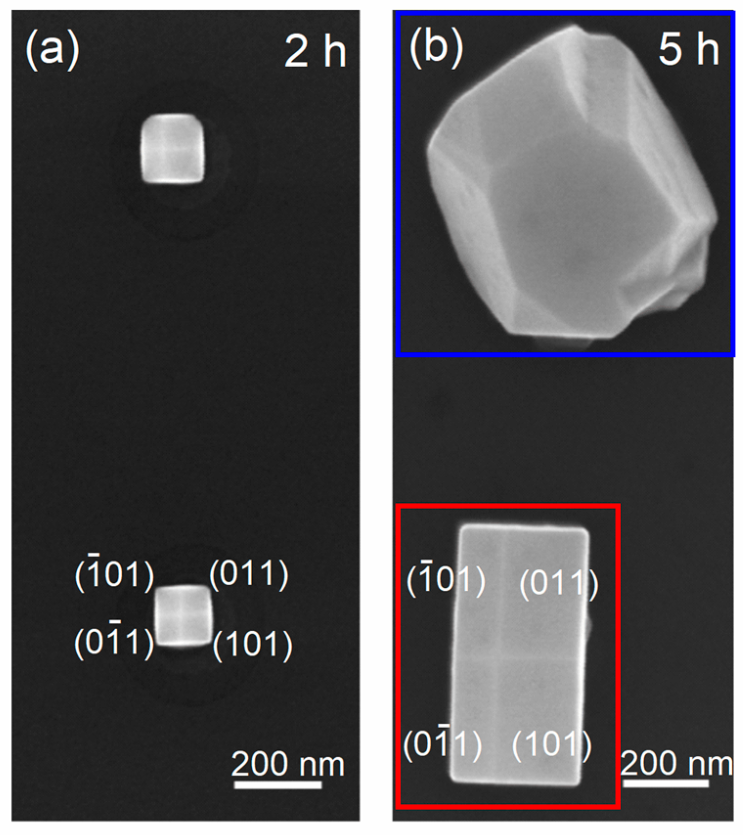 Nanomaterials 15 01083 g004