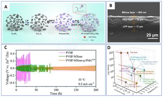 Nanomaterials 15 01089 g006