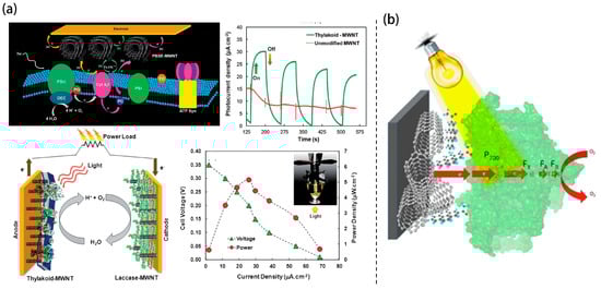 Nanomaterials 15 01092 g002