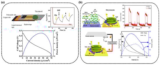 Nanomaterials 15 01092 g003