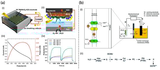 Nanomaterials 15 01092 g004
