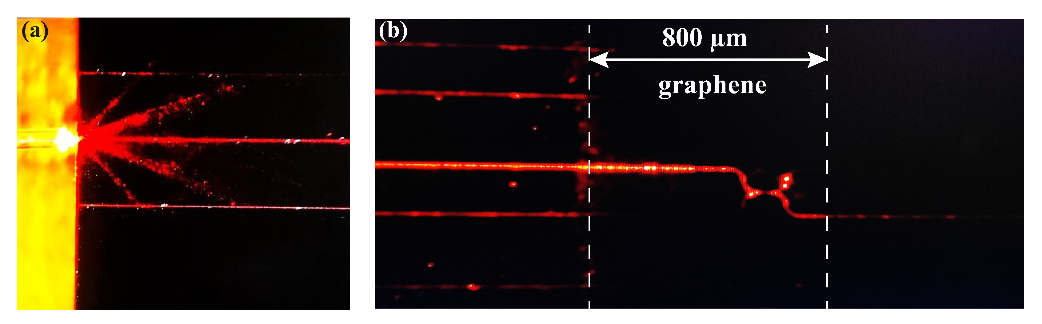 Nanomaterials 15 01116 g006