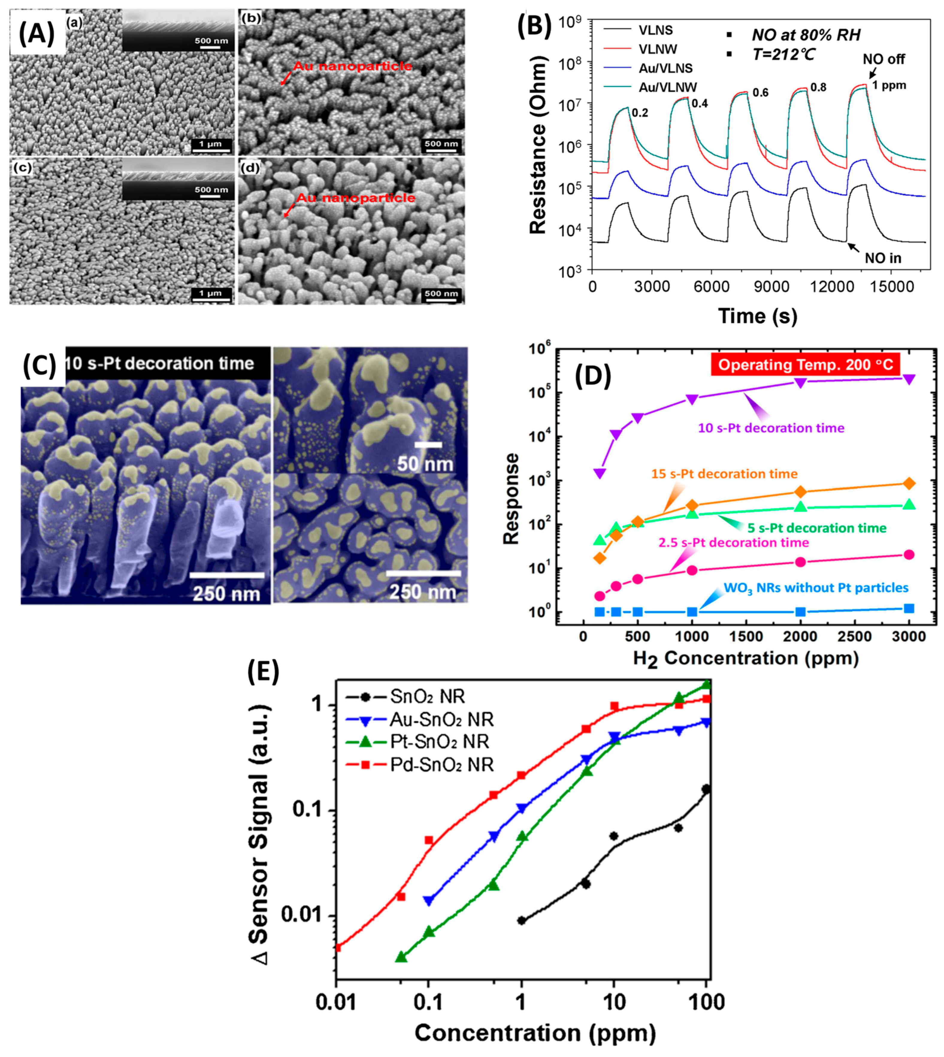 Nanomaterials 15 01136 g010