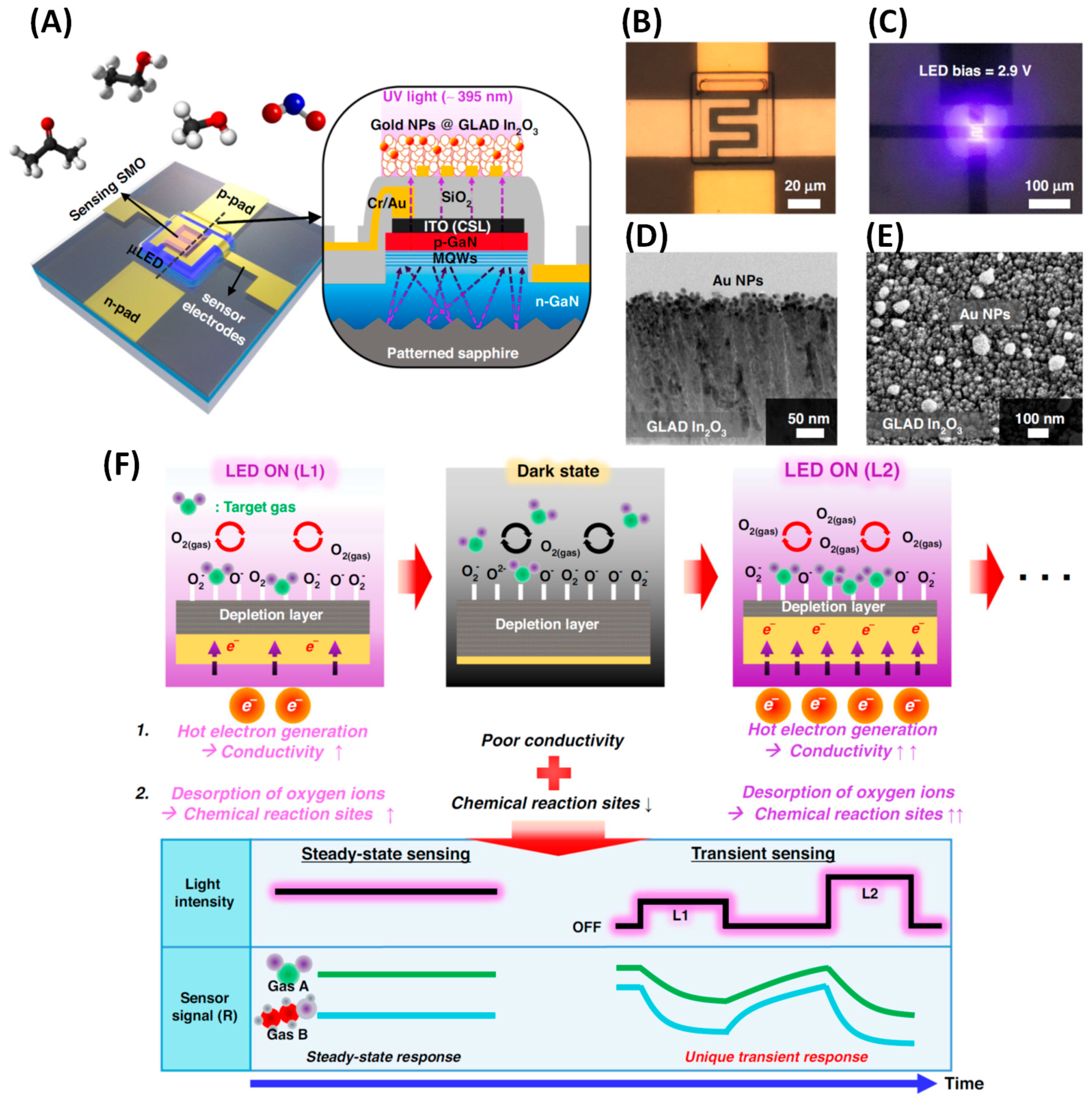 Nanomaterials 15 01136 g017