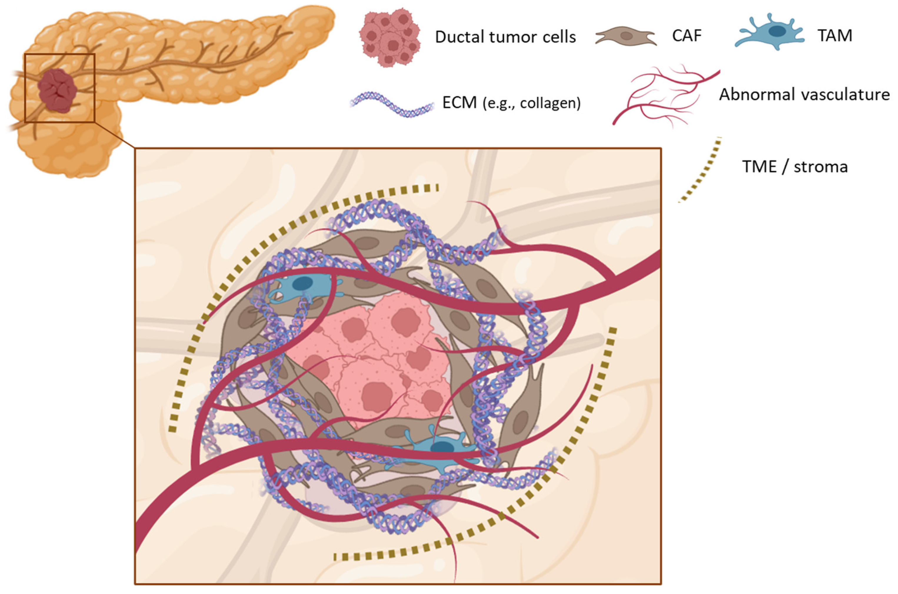 Nanomaterials 15 01139 g002