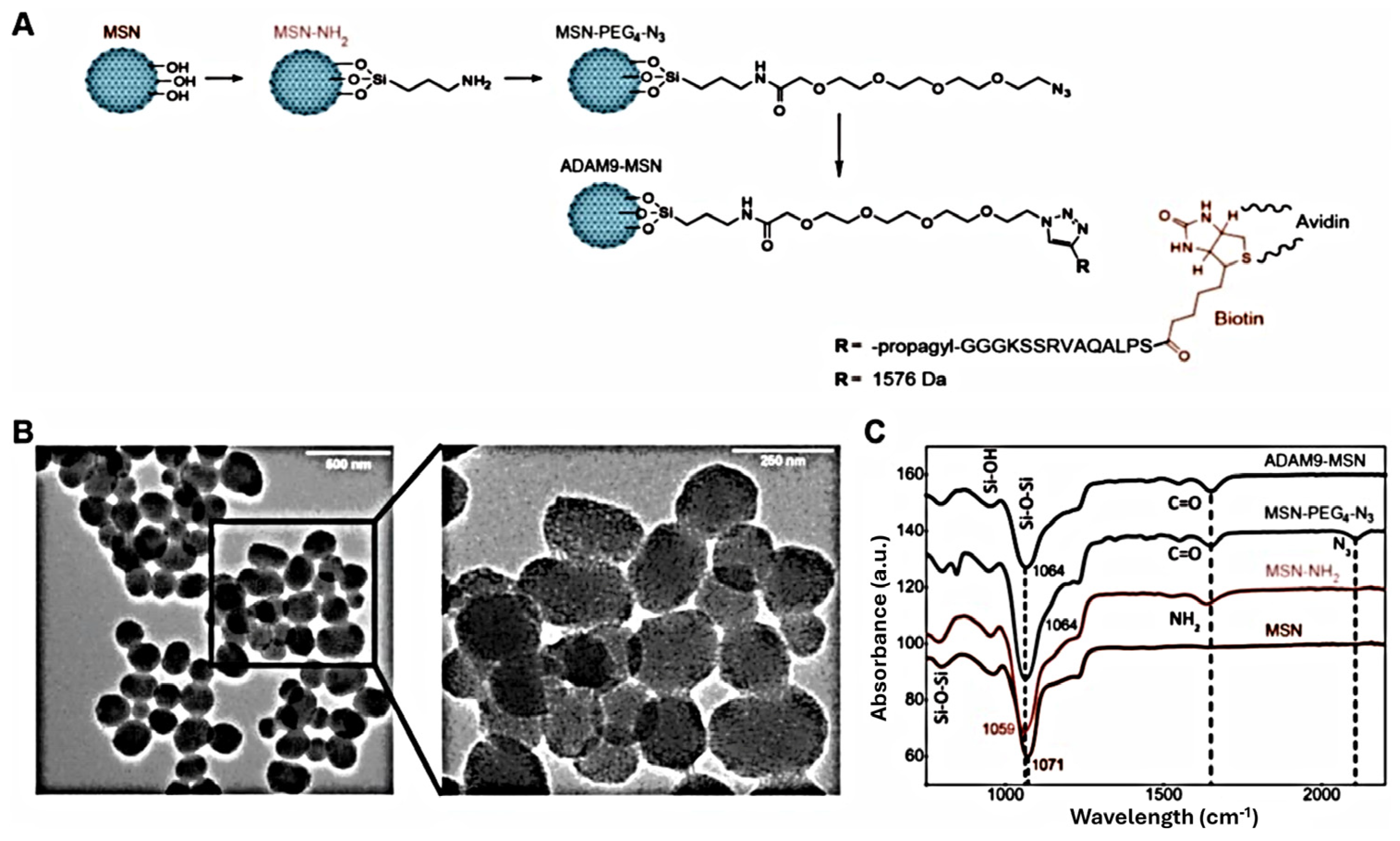 Nanomaterials 15 01139 g006