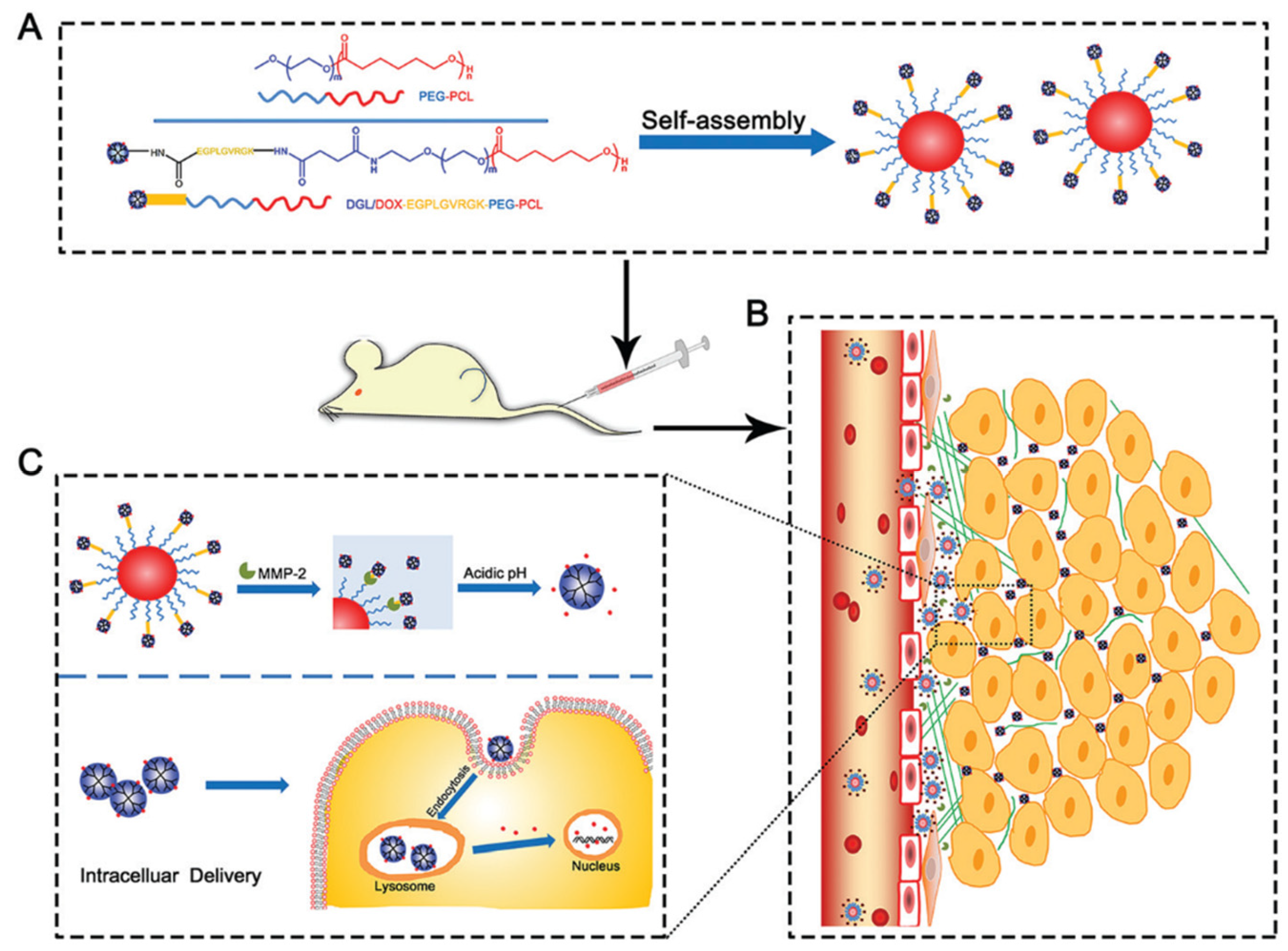 Nanomaterials 15 01139 g011