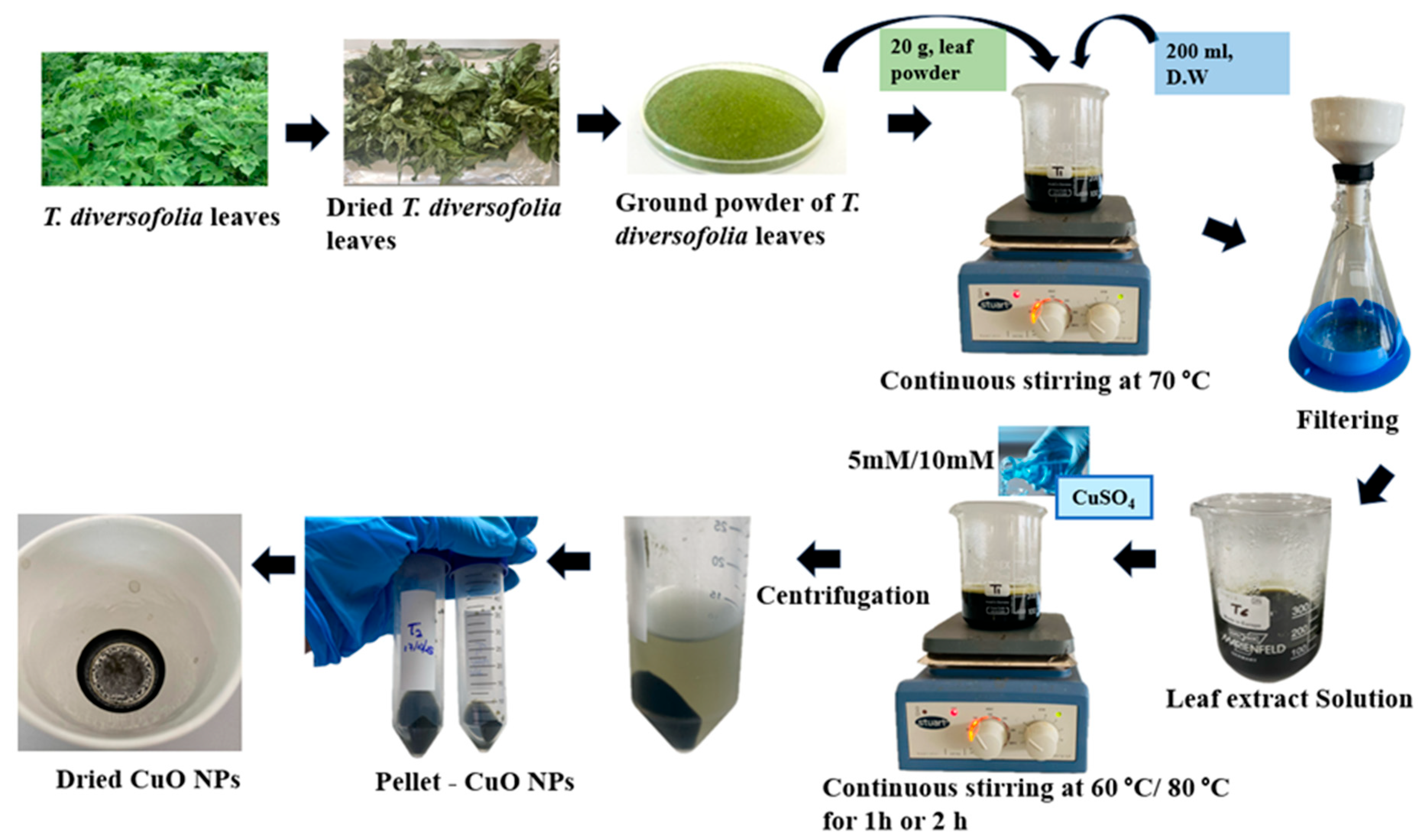 Nanomaterials 15 01203 g001