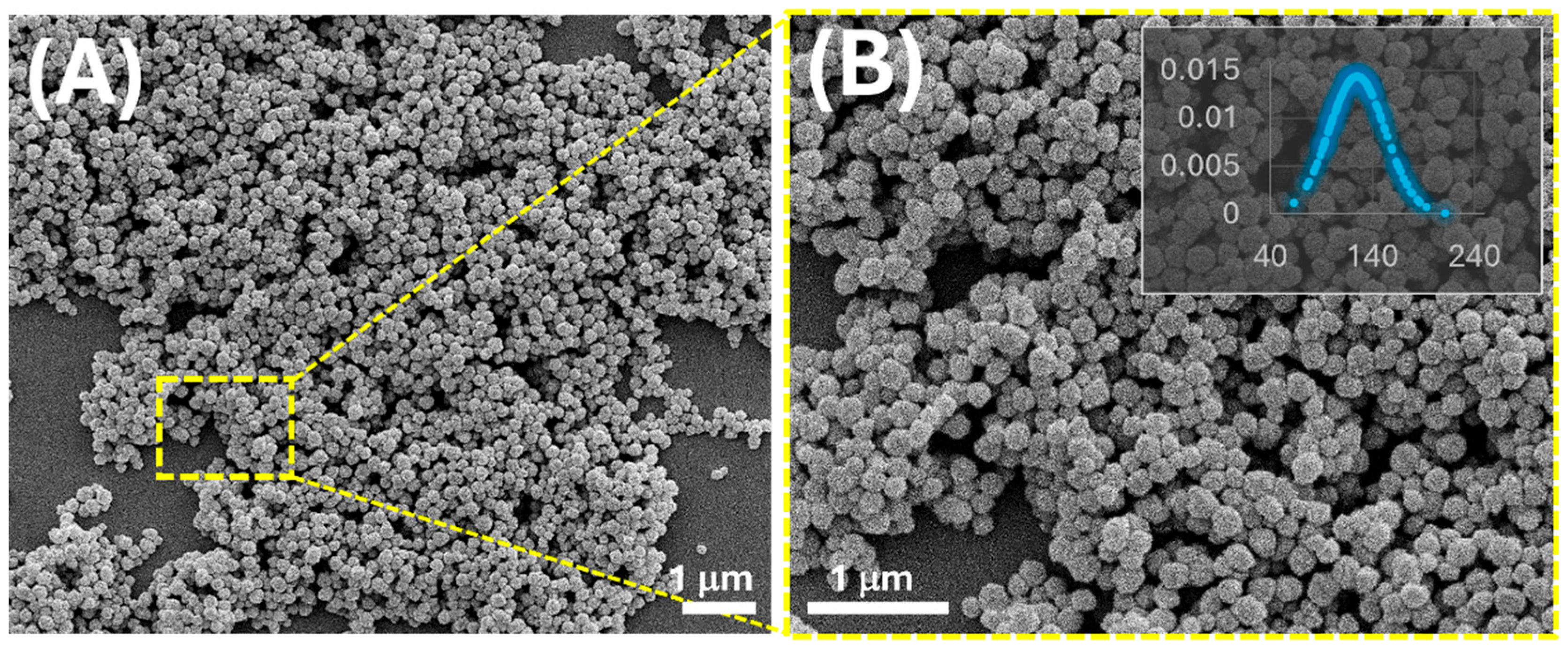 Nanomaterials 15 01220 g001
