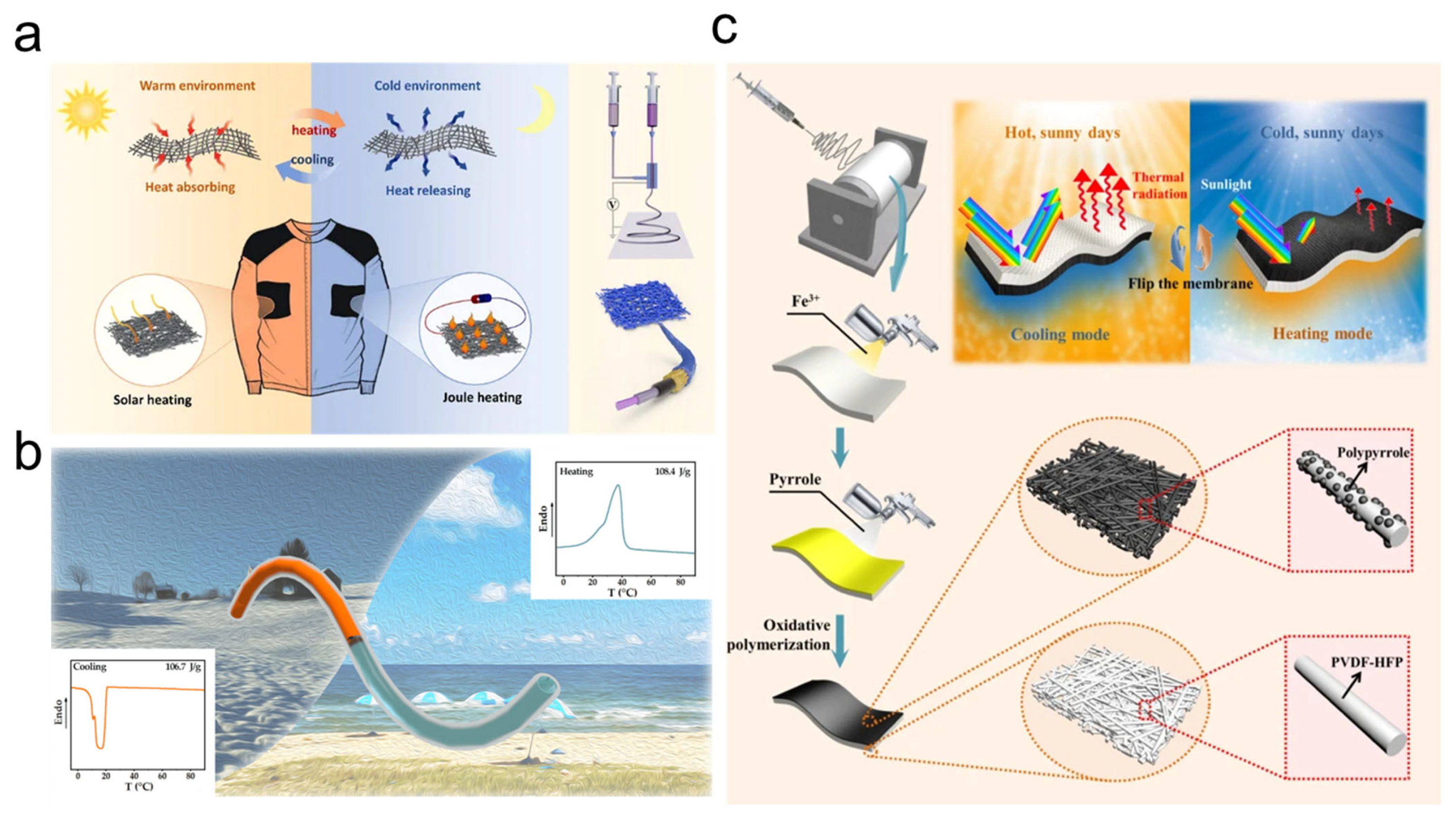 Nanomaterials 15 01228 g003 Nanomaterials 15 01228 g003