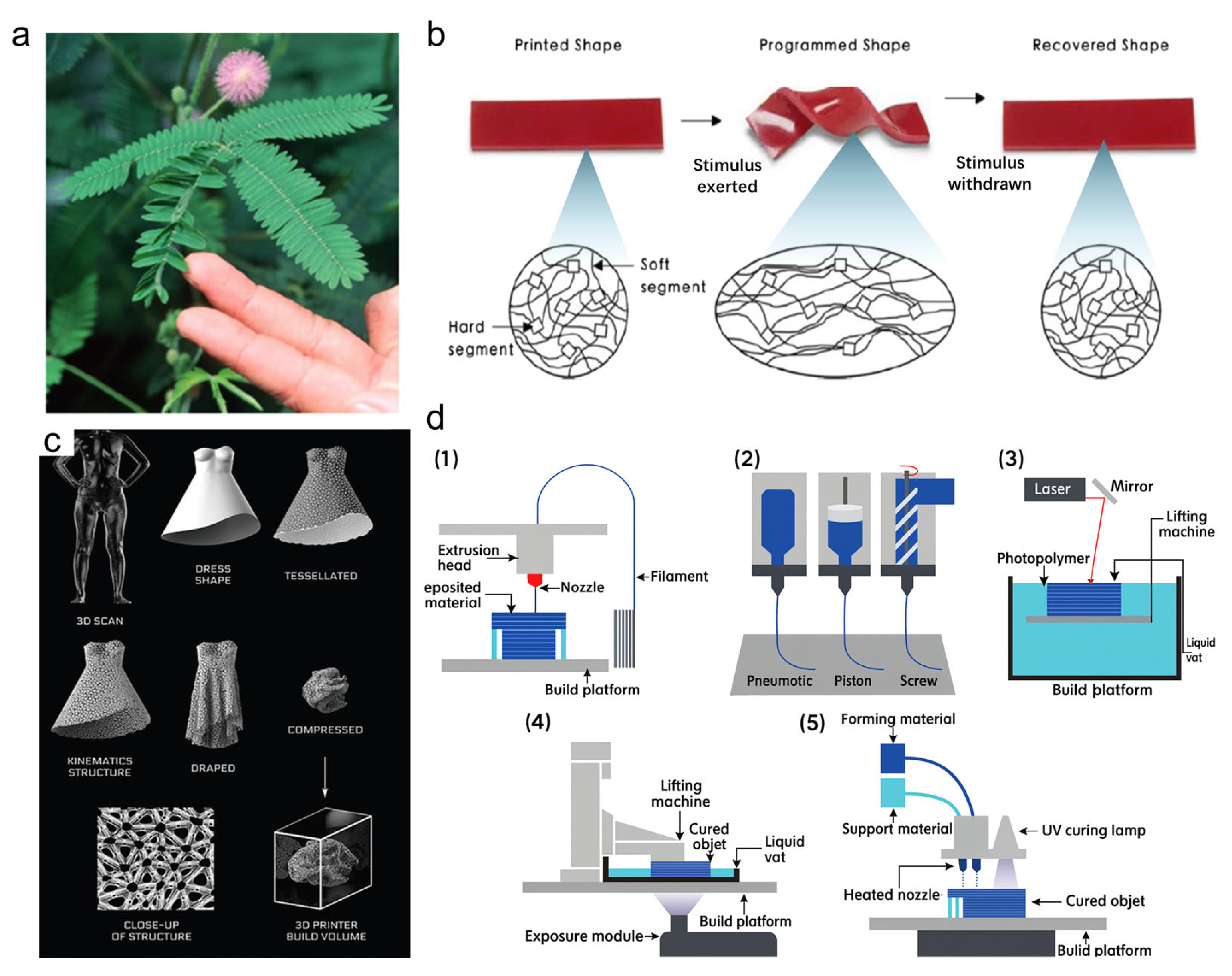 Nanomaterials 15 01228 g007 Nanomaterials 15 01228 g007