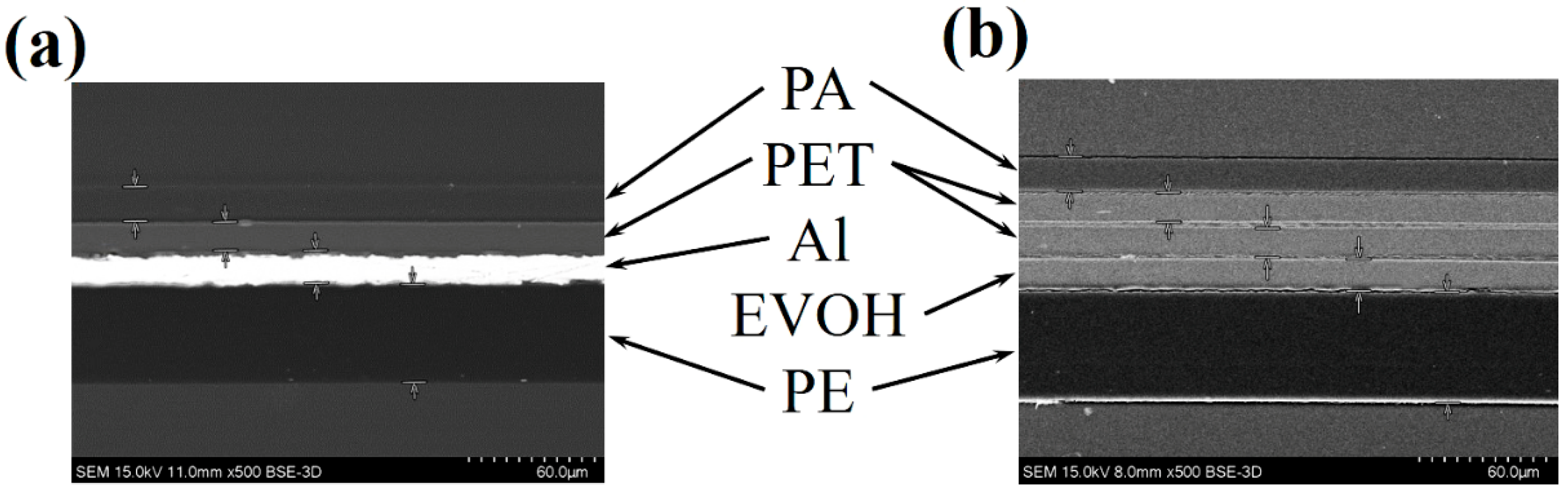 Nanomaterials 15 01231 g002