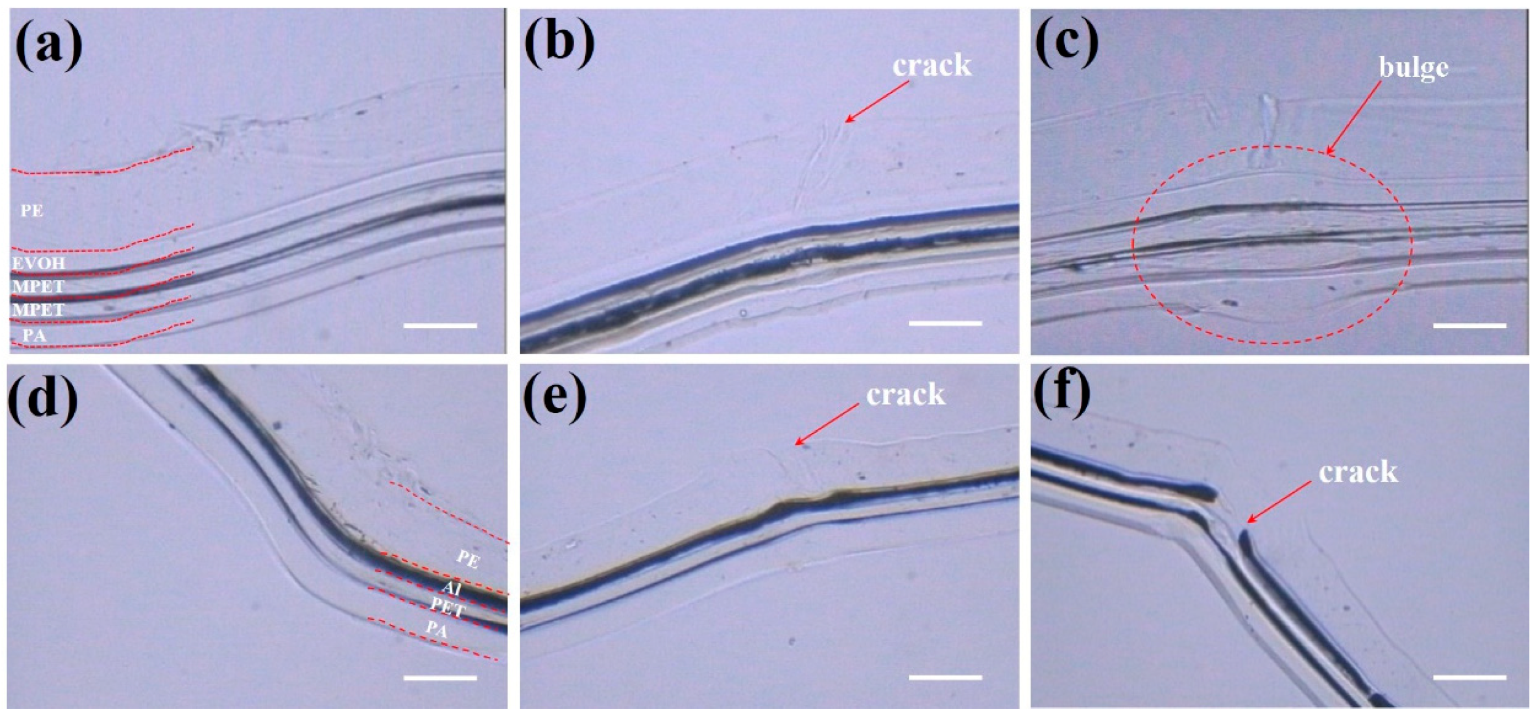 Nanomaterials 15 01231 g004