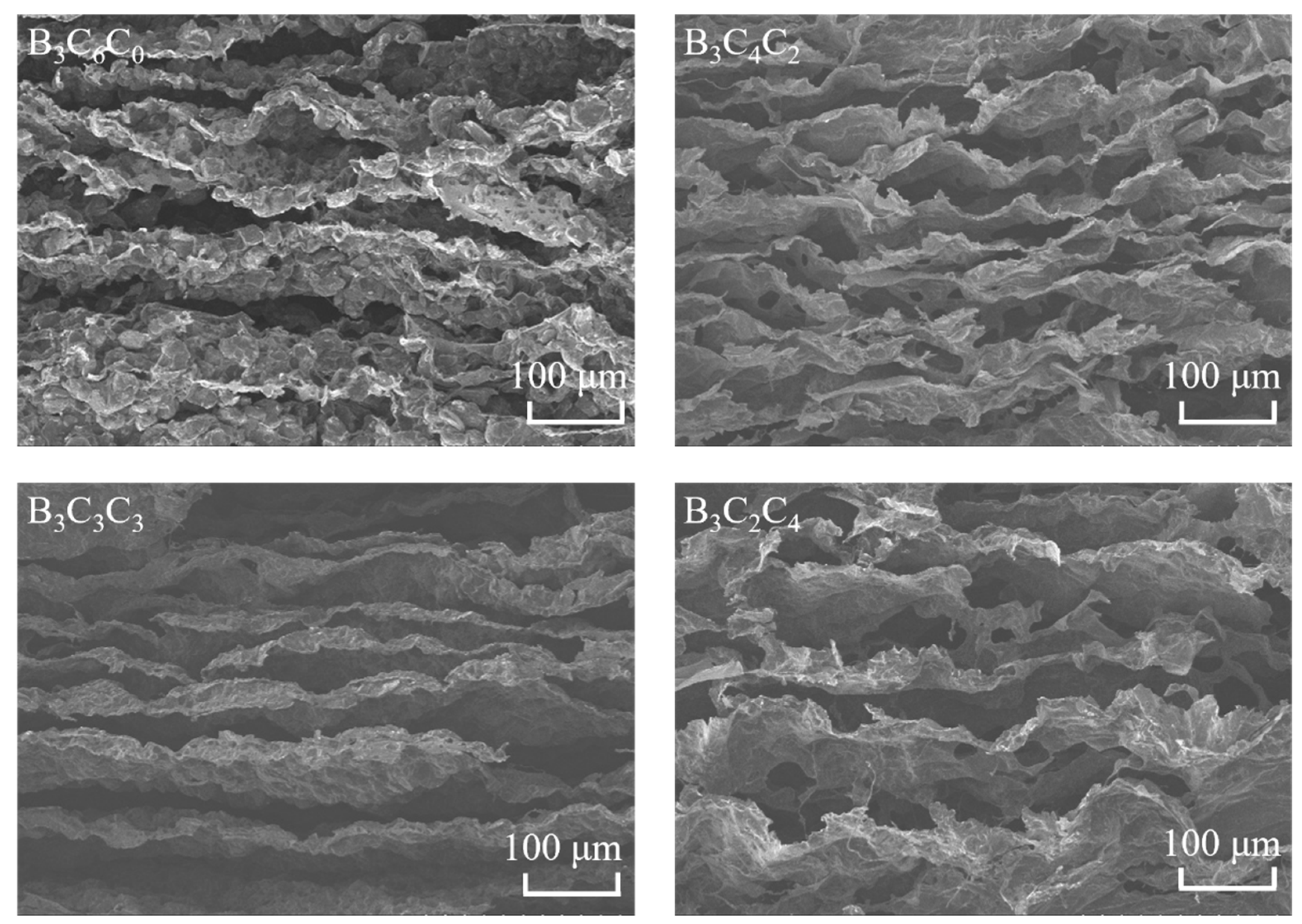 Nanomaterials 15 01233 g002 Nanomaterials 15 01233 g002