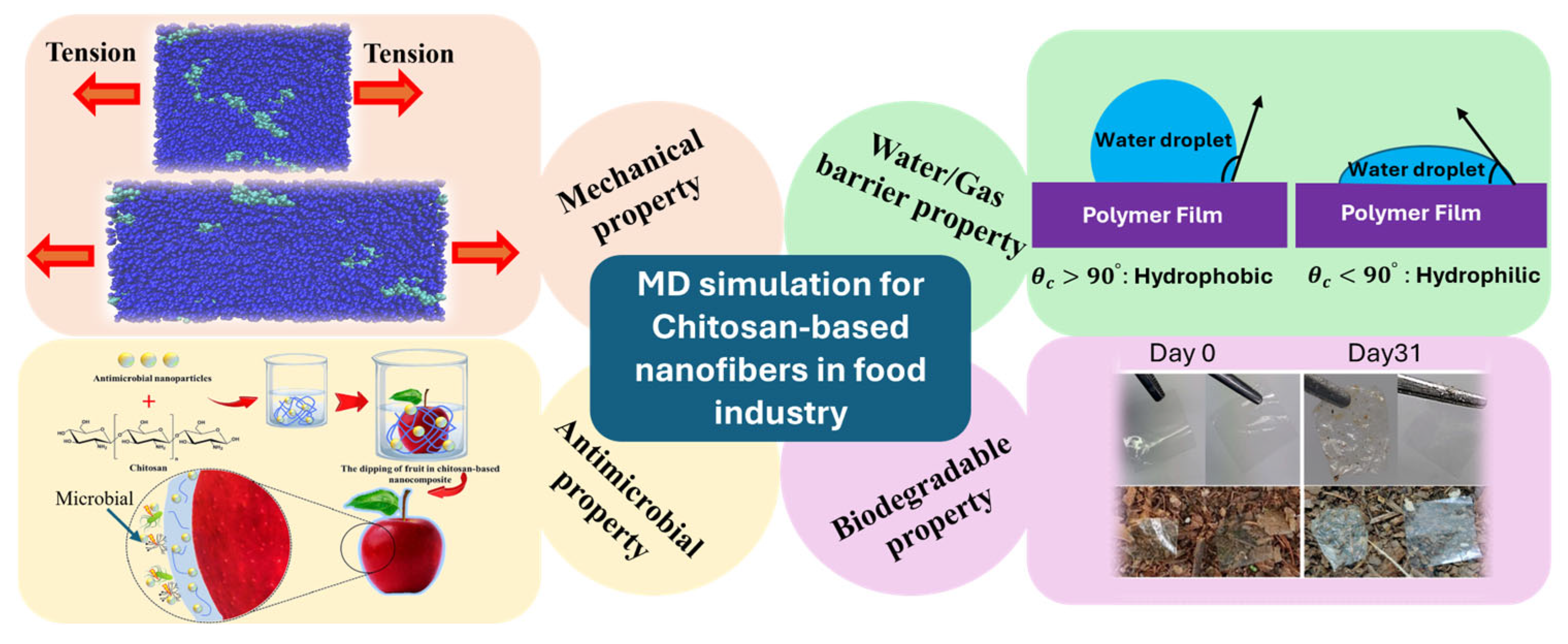 Nanomaterials 15 01274 g004