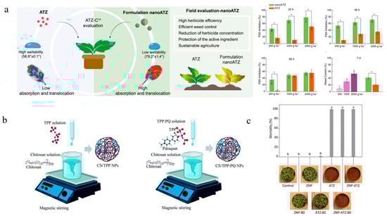 Nanomaterials 15 01304 g002