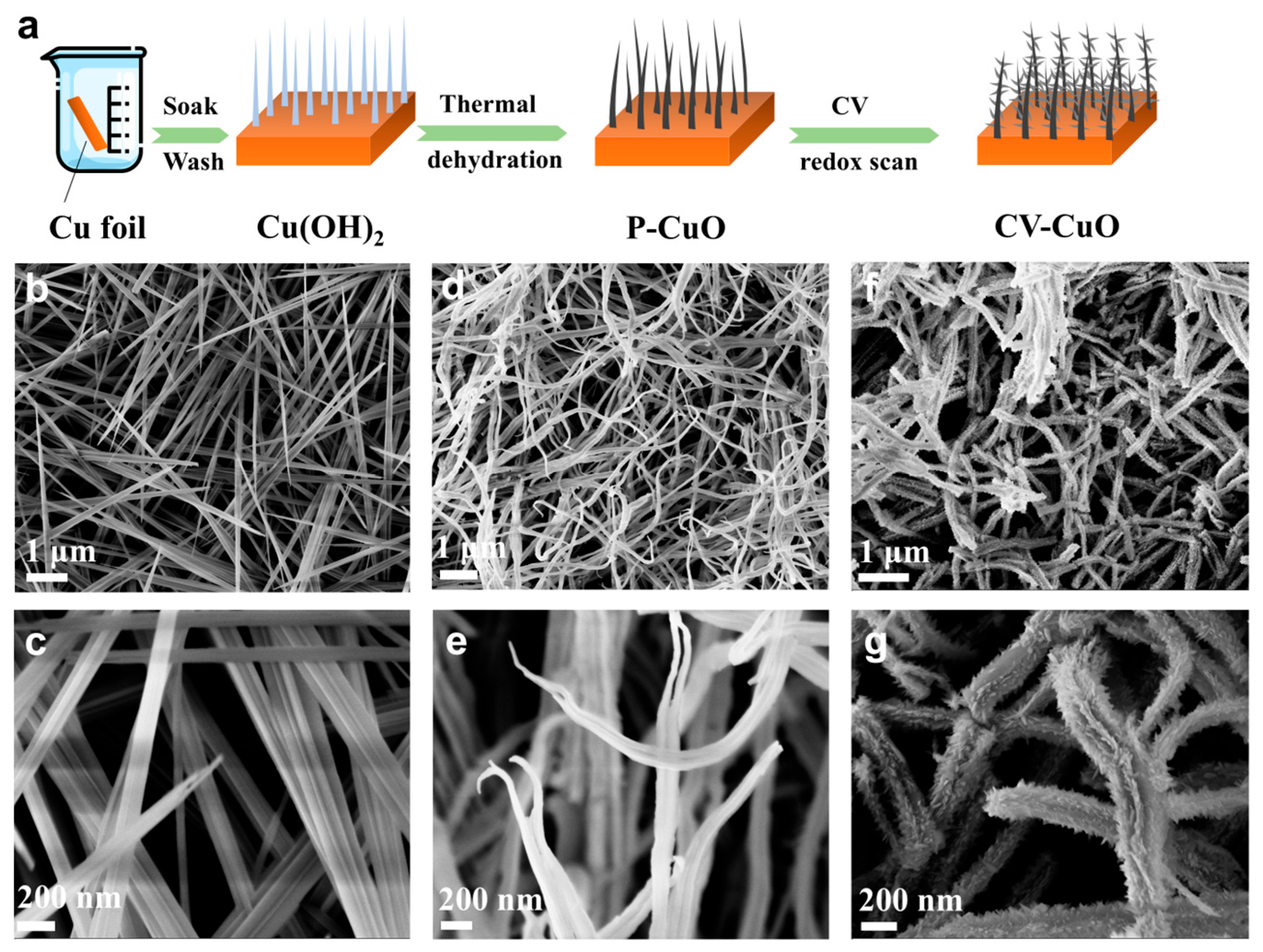 Nanomaterials 15 01349 g001