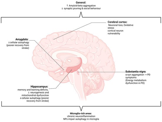Nanomaterials 15 01361 g004