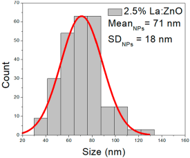 Nanomaterials 15 01369 i010