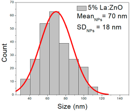 Nanomaterials 15 01369 i013