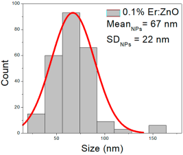 Nanomaterials 15 01369 i016