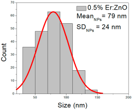 Nanomaterials 15 01369 i019