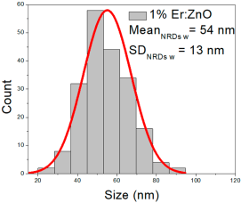Nanomaterials 15 01369 i024