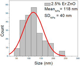 Nanomaterials 15 01369 i025
