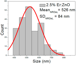 Nanomaterials 15 01369 i026