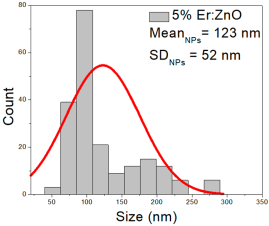 Nanomaterials 15 01369 i028
