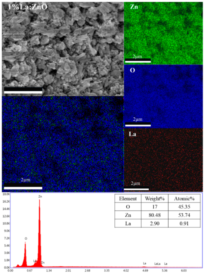 Nanomaterials 15 01369 i048