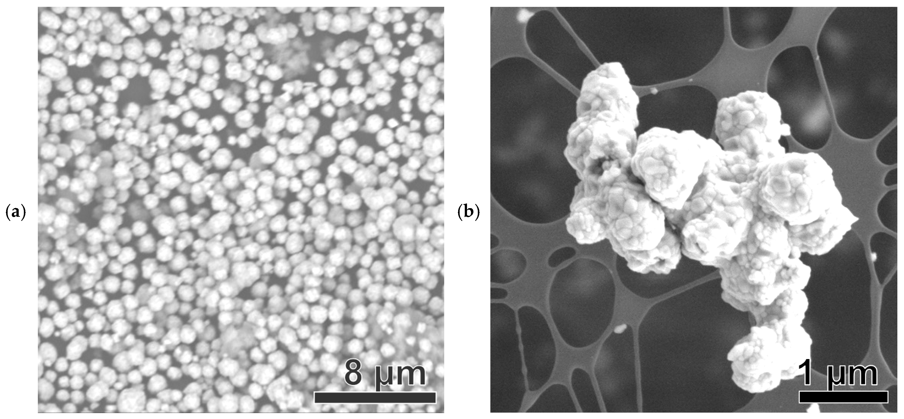 Nanomaterials 15 01379 g007a Nanomaterials 15 01379 g007a