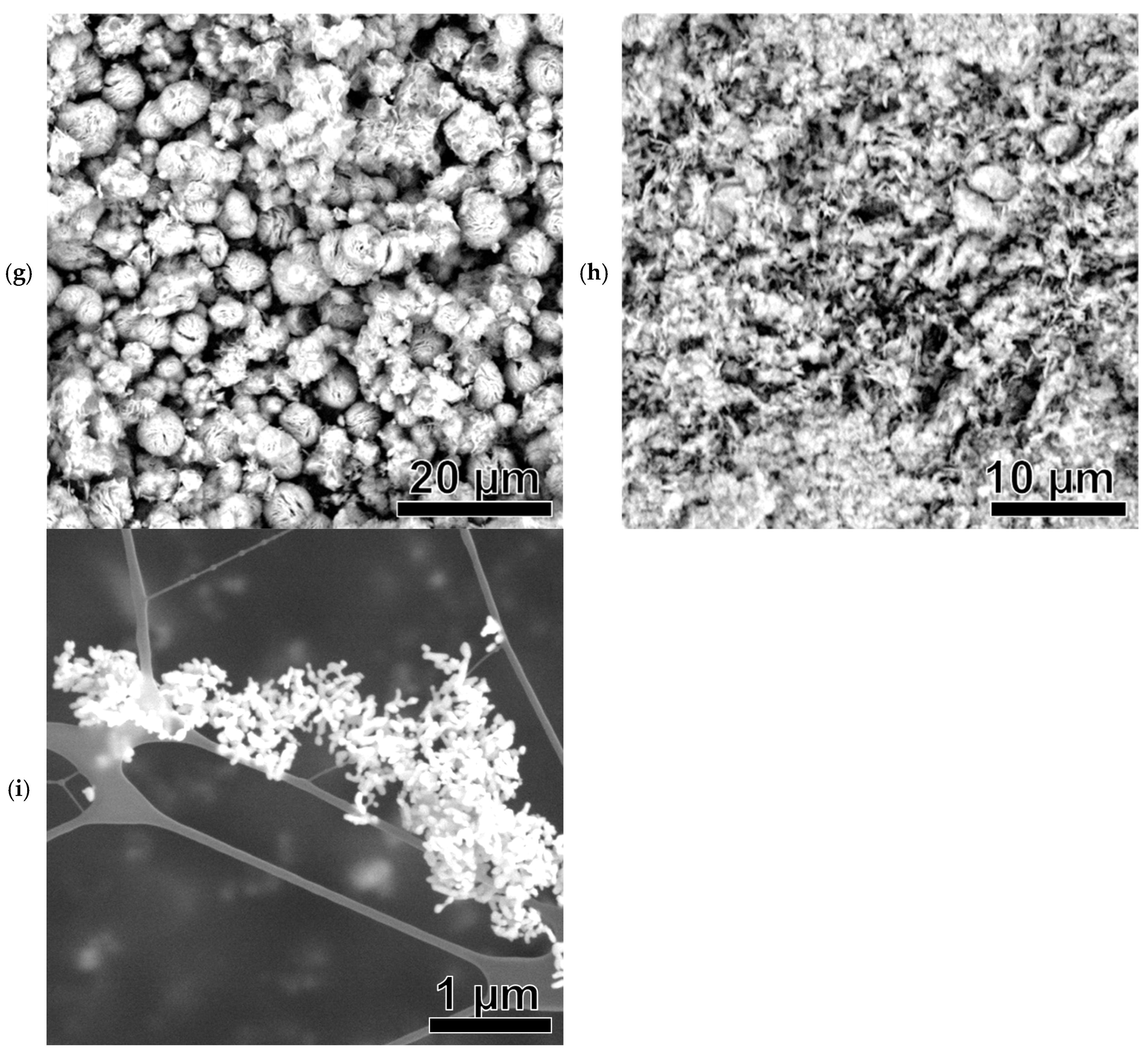Nanomaterials 15 01379 g007c Nanomaterials 15 01379 g007c