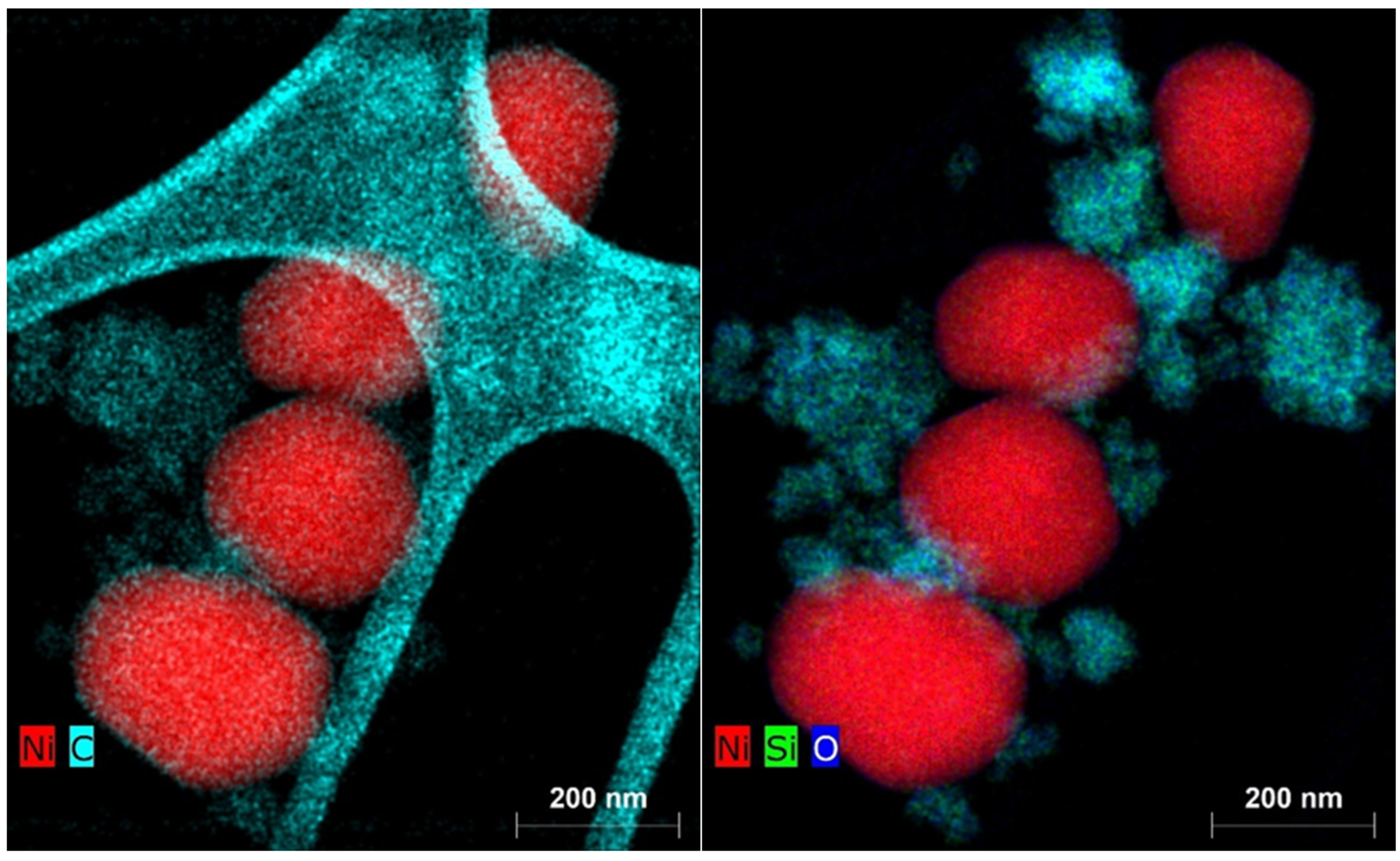 Nanomaterials 15 01379 g016 Nanomaterials 15 01379 g016