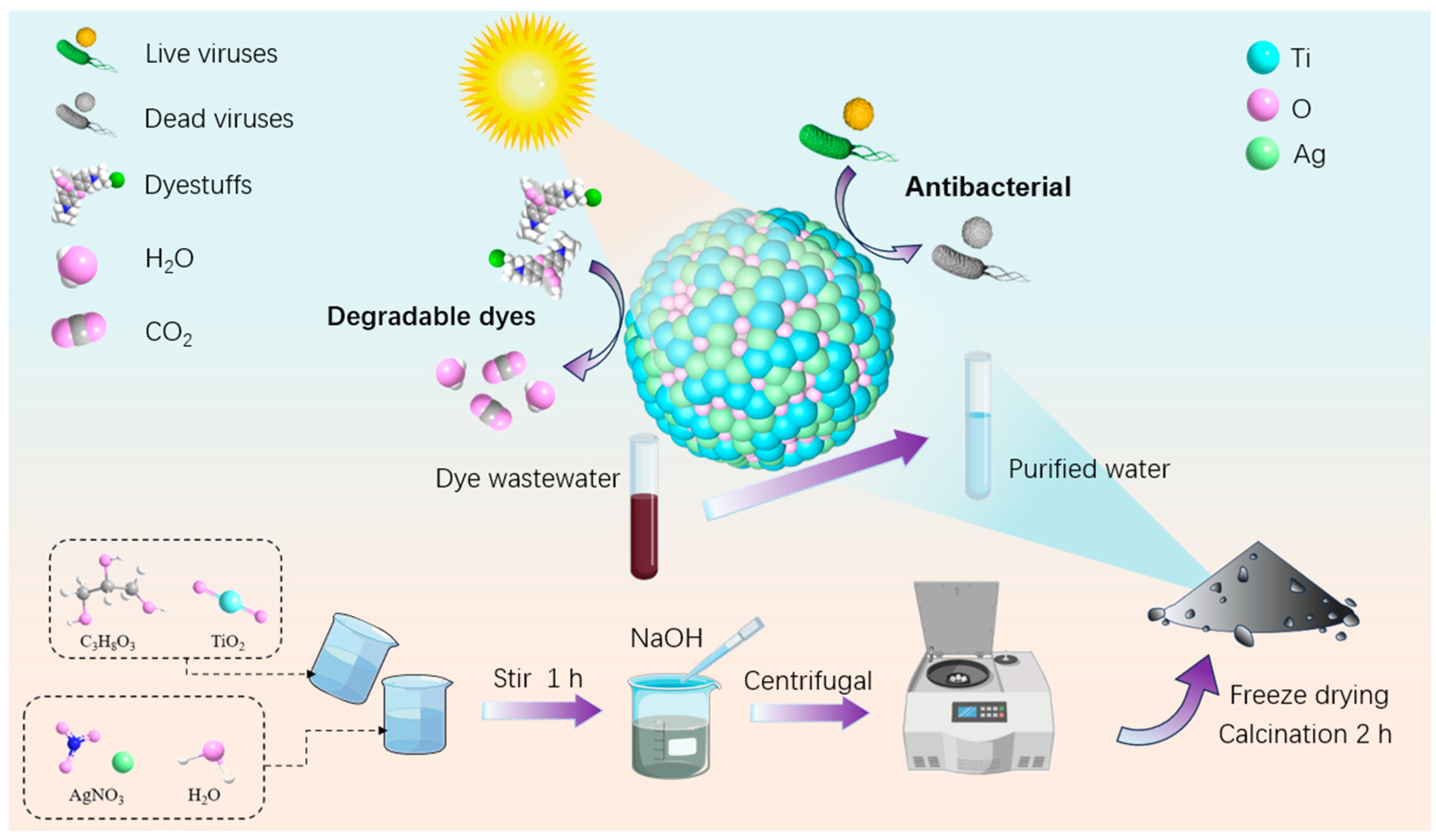 Nanomaterials 15 01383 sch001