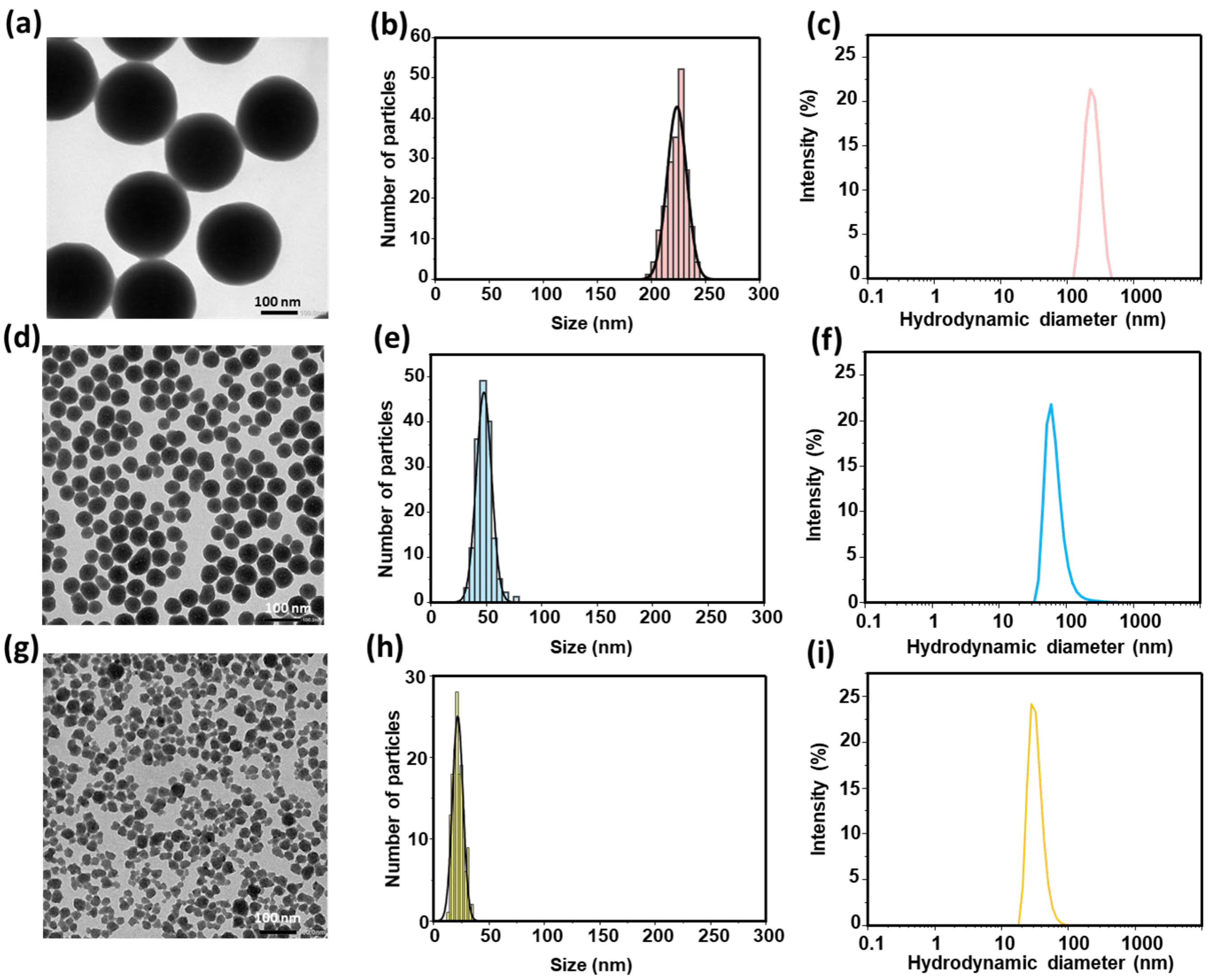 Nanomaterials 15 01391 g001