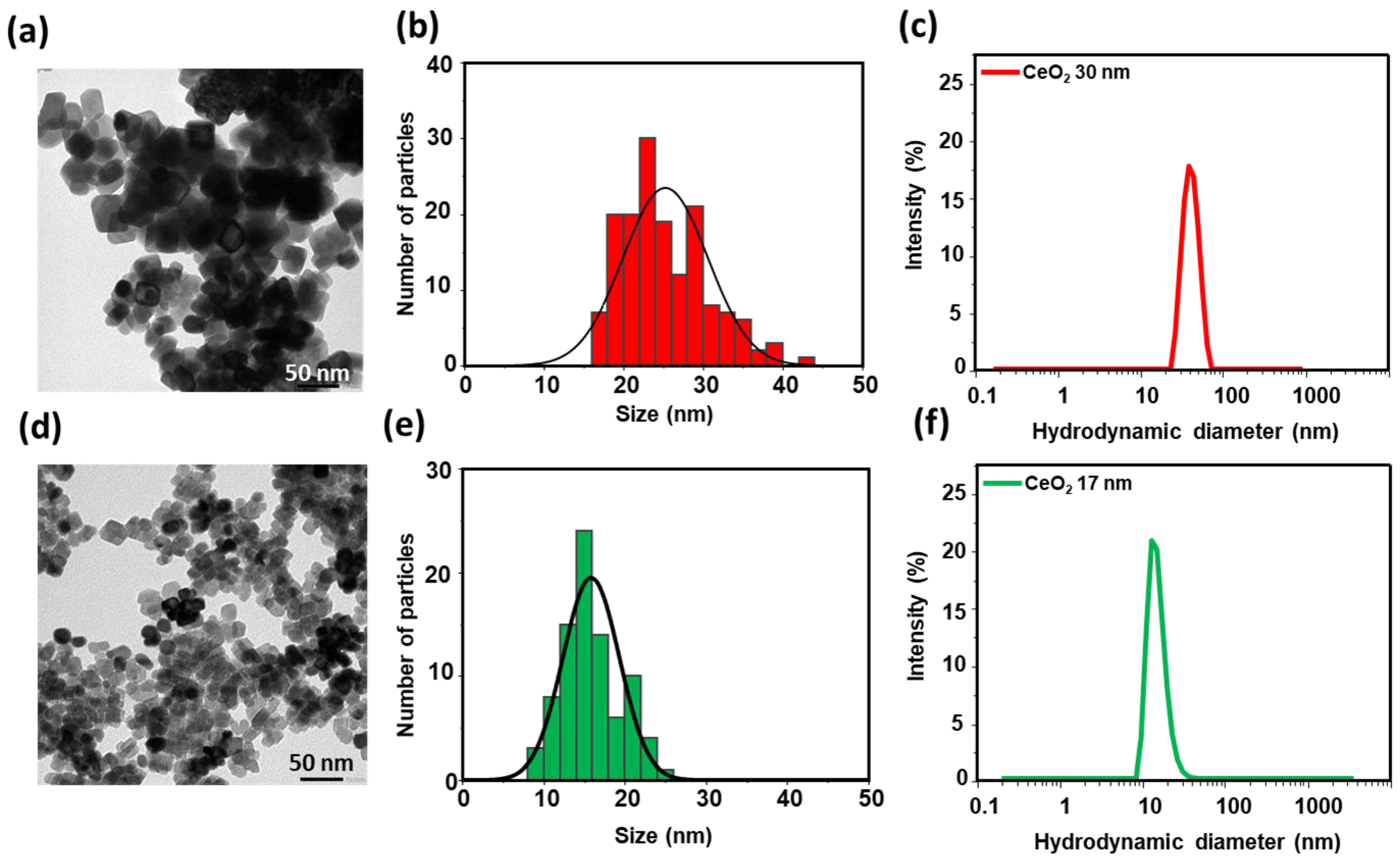 Nanomaterials 15 01391 g006